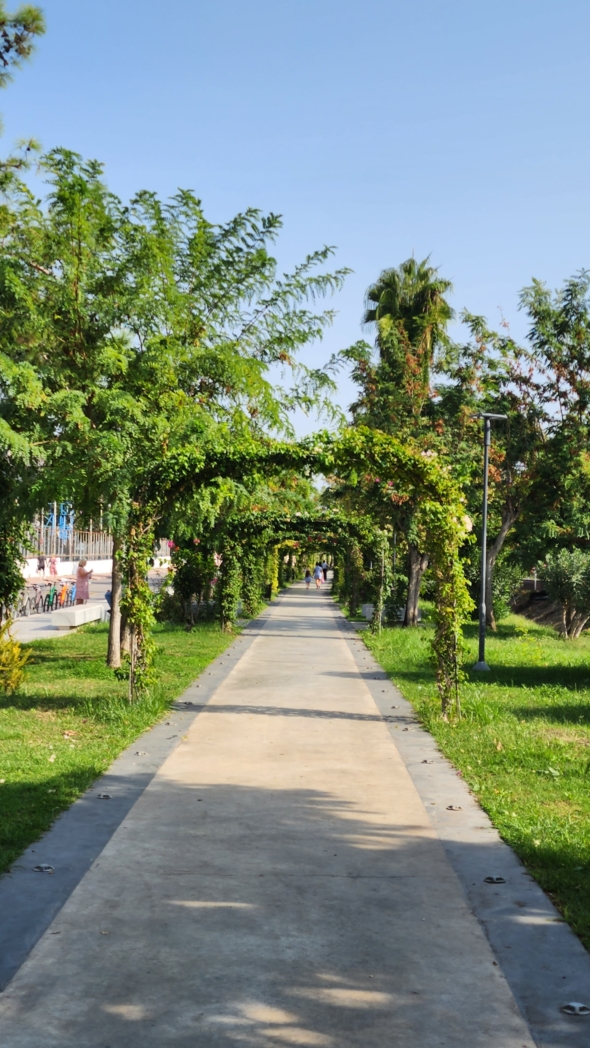 Фото из похода