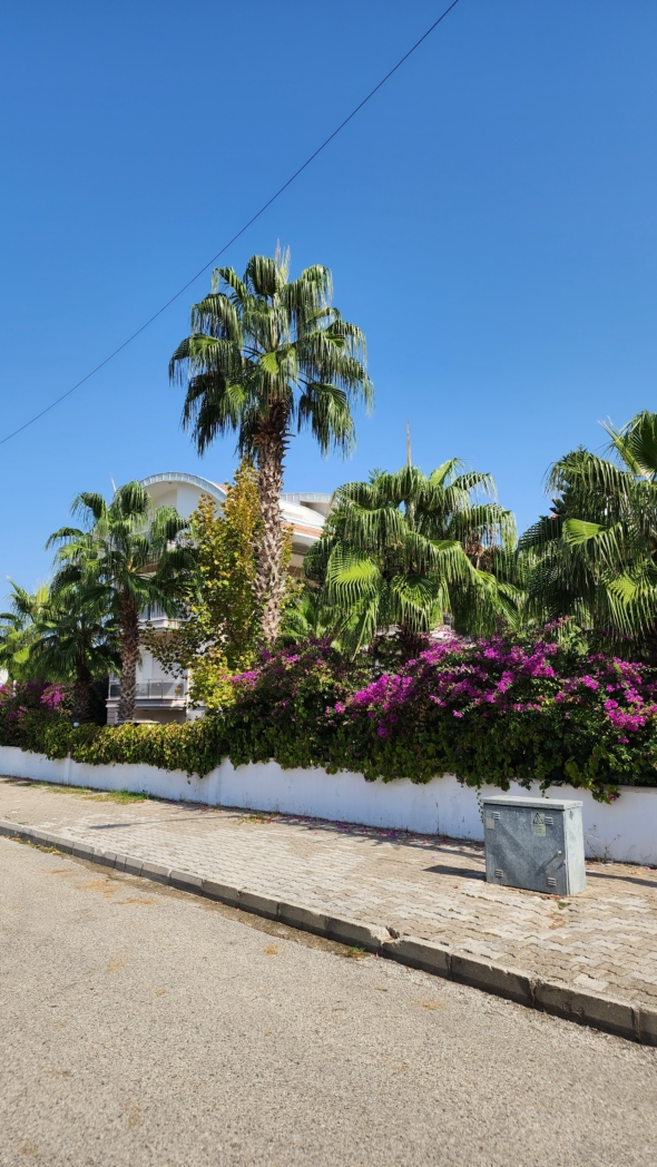 Фото из похода