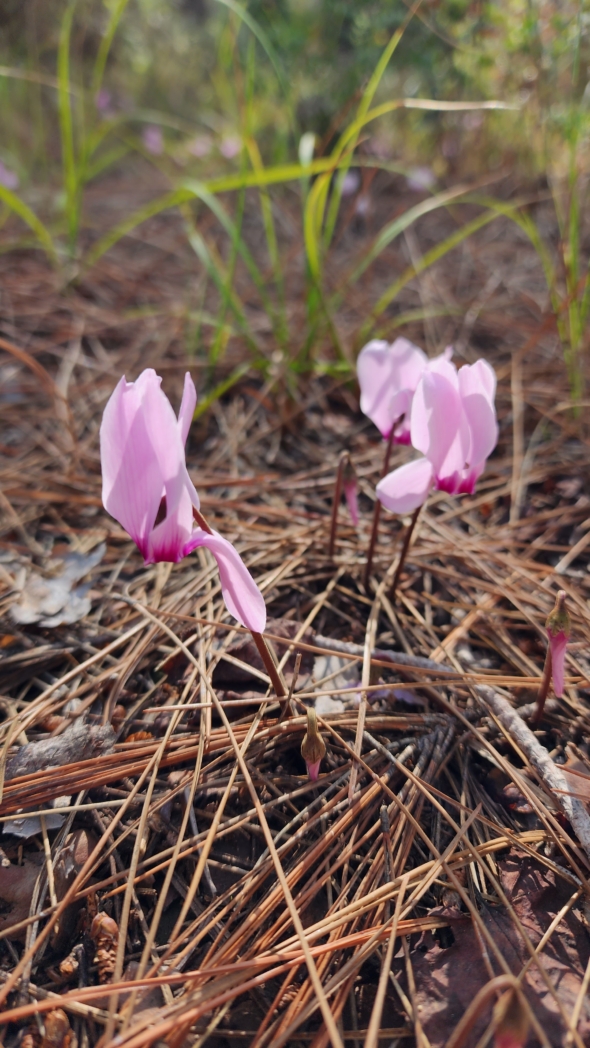 Фото из похода