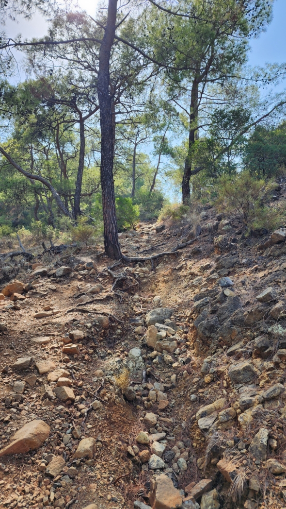 Фото из похода