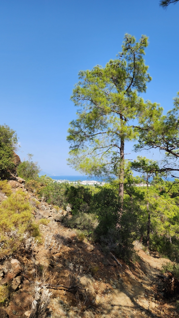 Фото из похода