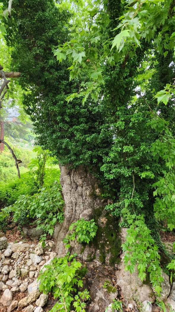 Фото из похода