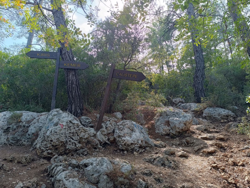 Фото из похода