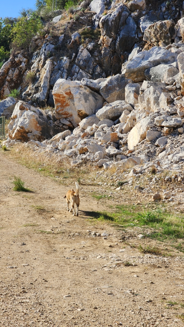 Фото из похода