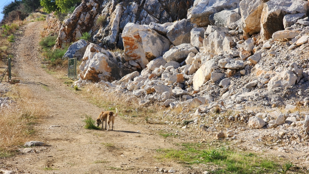 Фото из похода