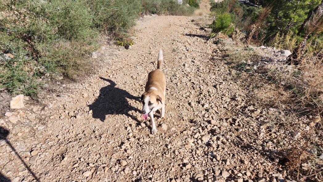 Фото из похода