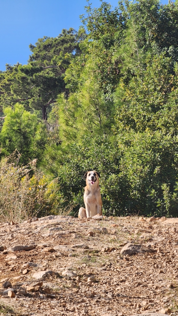 Фото из похода