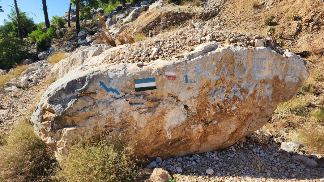 Фото из похода