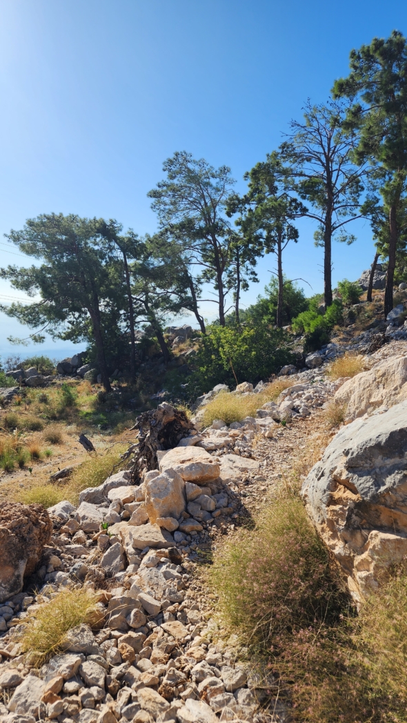 Фото из похода