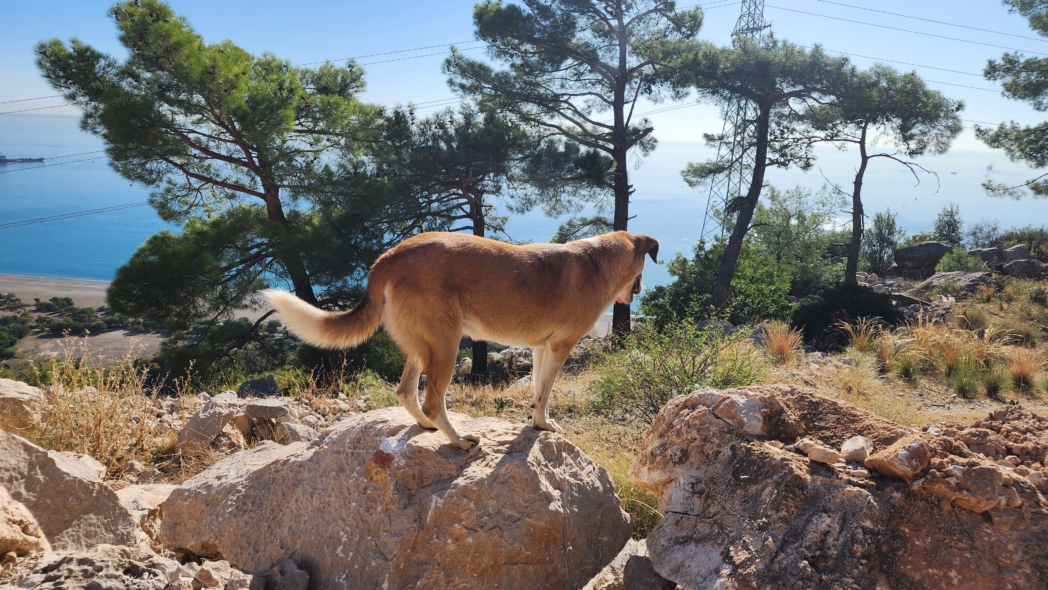 Фото из похода