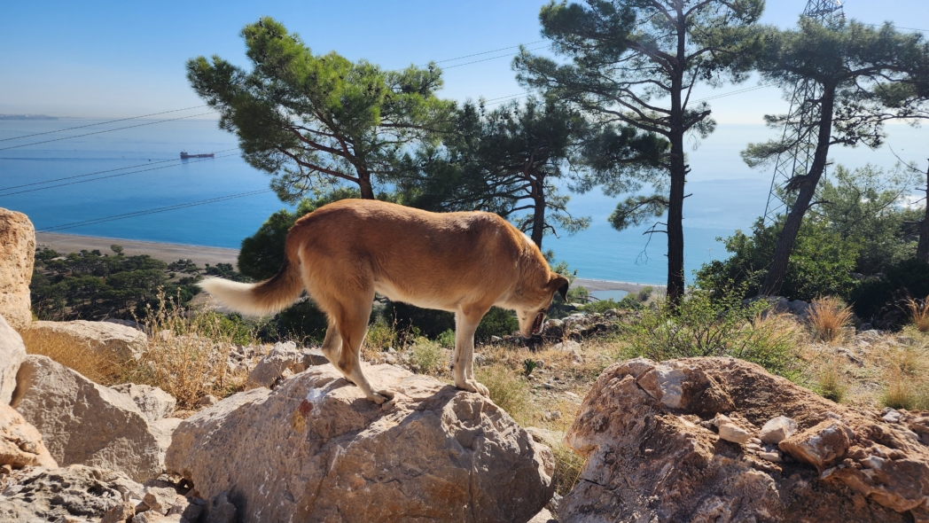 Фото из похода