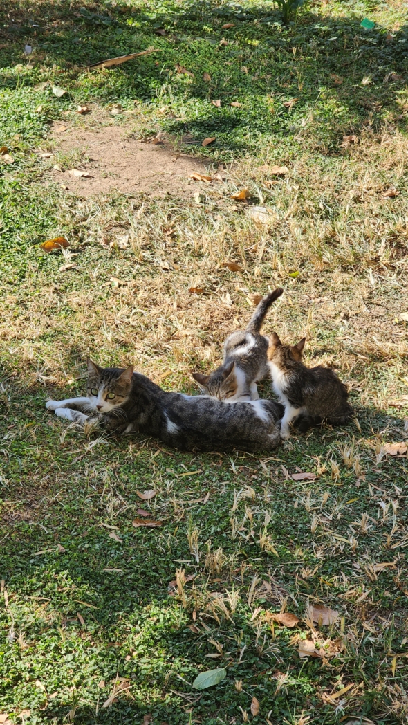 Фото из похода