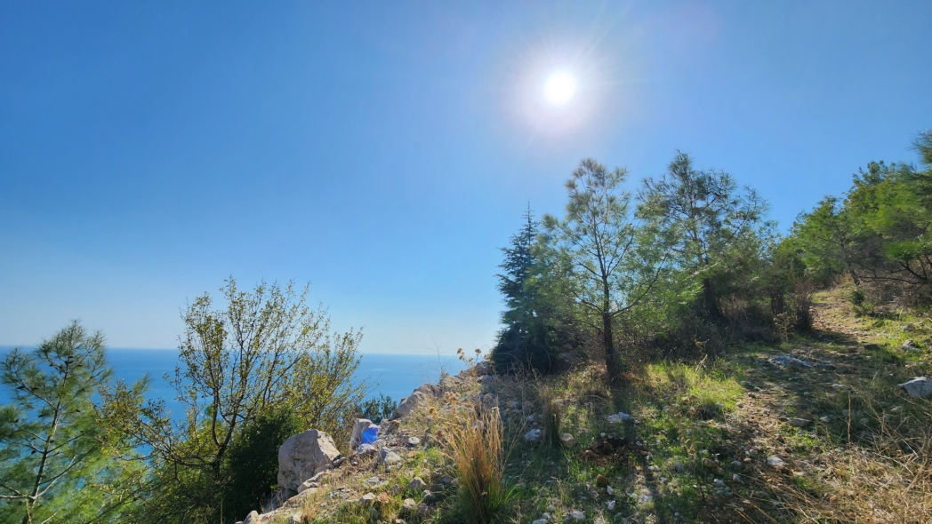 Фото из похода