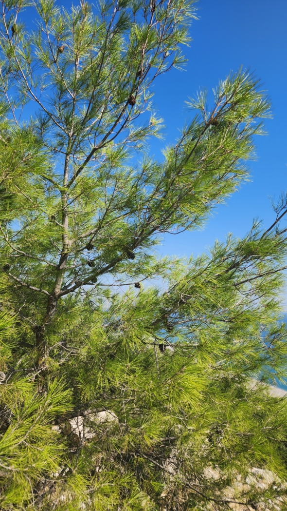 Фото из похода