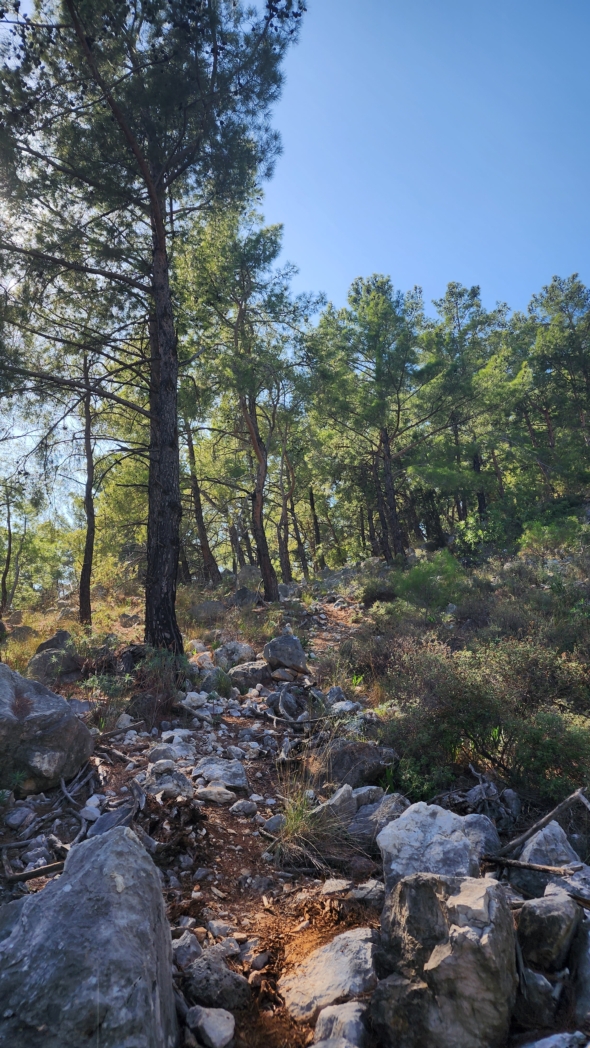 Фото из похода