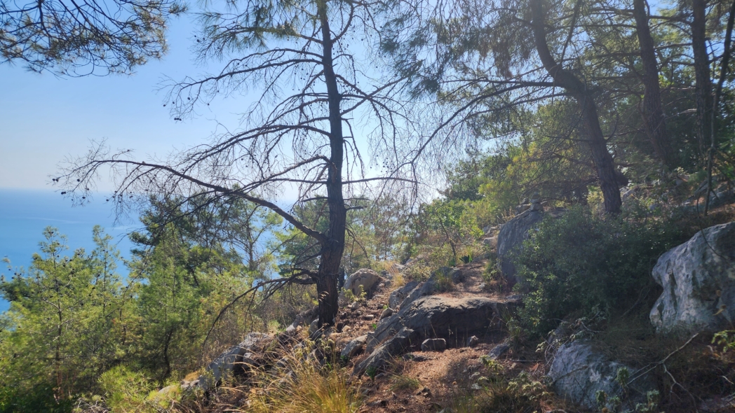 Фото из похода