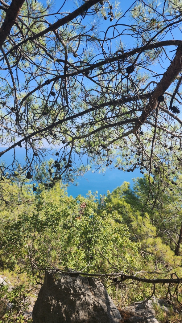 Фото из похода