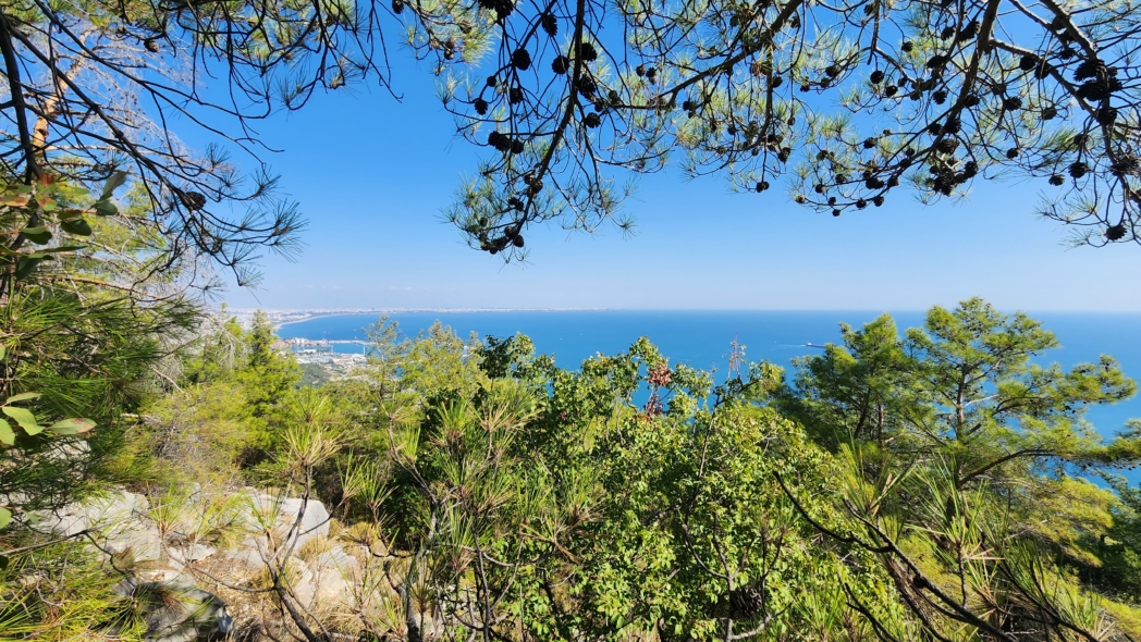 Фото из похода