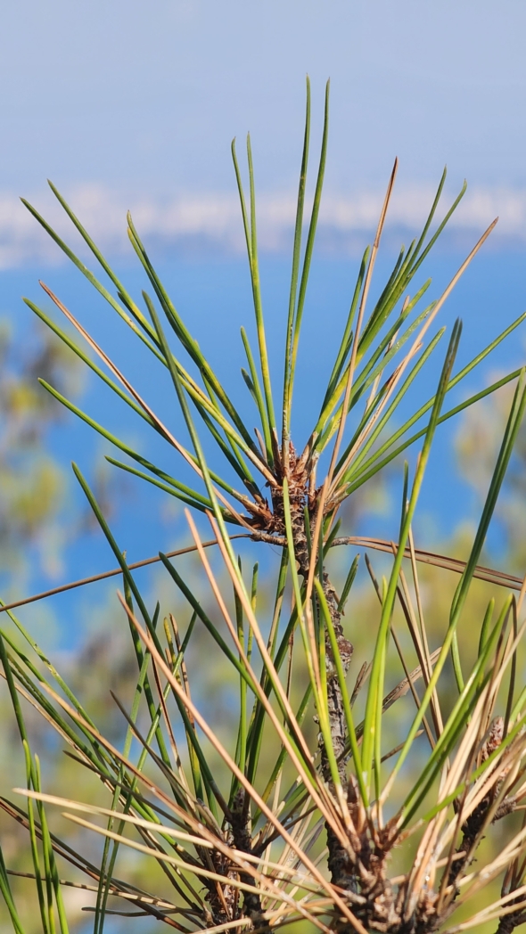 Фото из похода