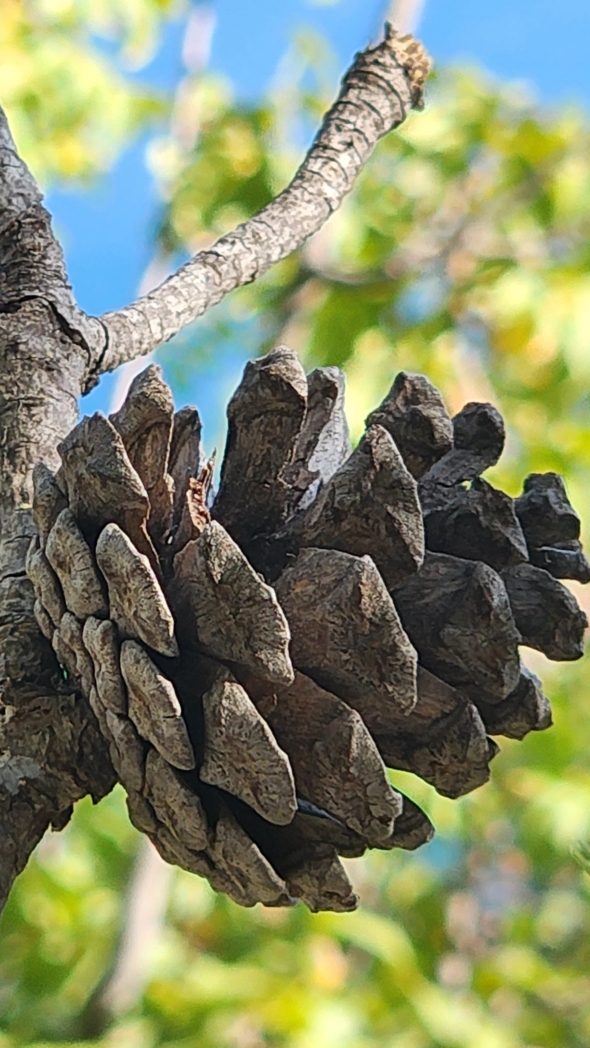 Фото из похода