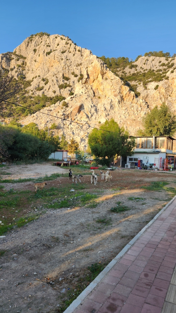 Фото из похода