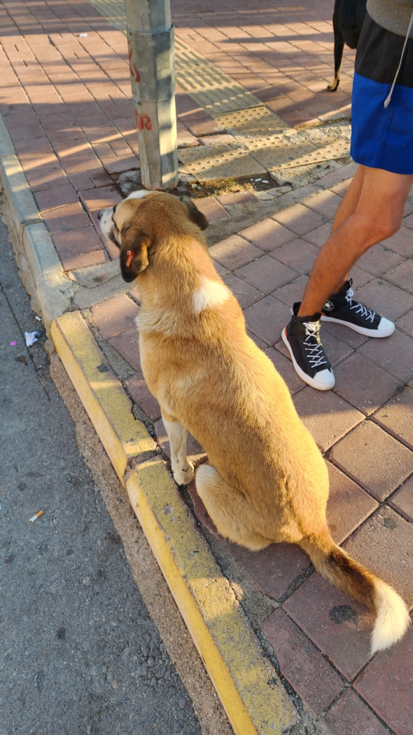 Фото из похода