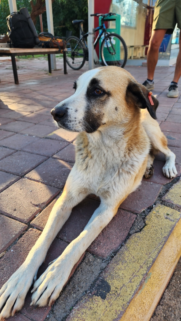 Фото из похода