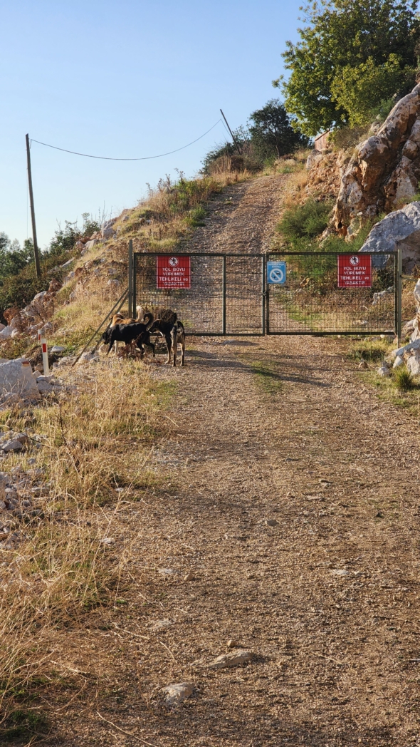 Фото из похода