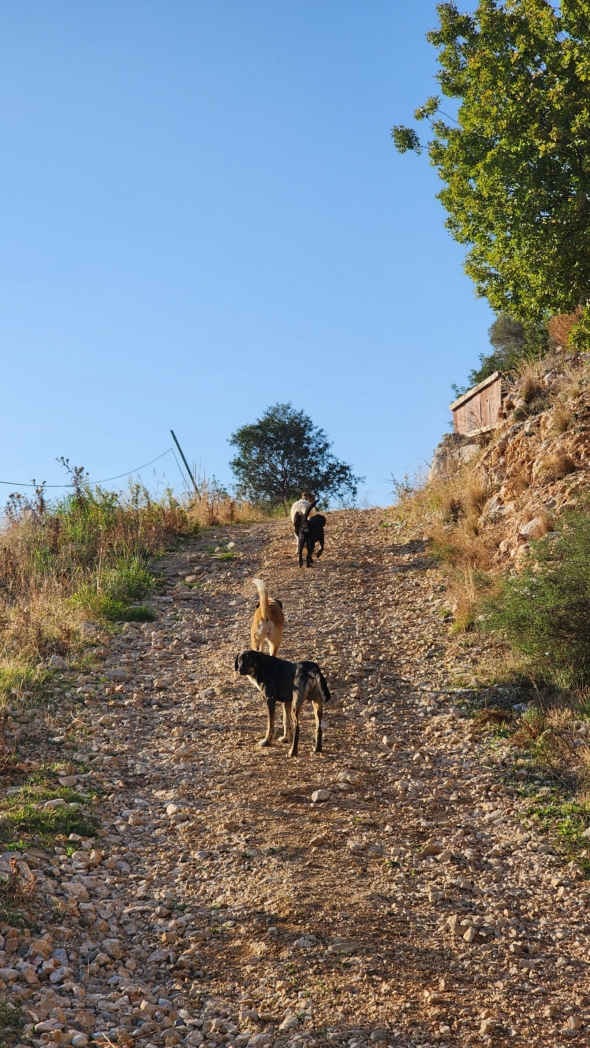 Фото из похода