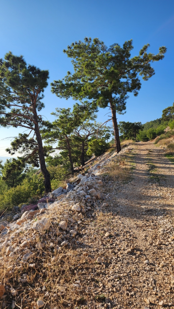 Фото из похода