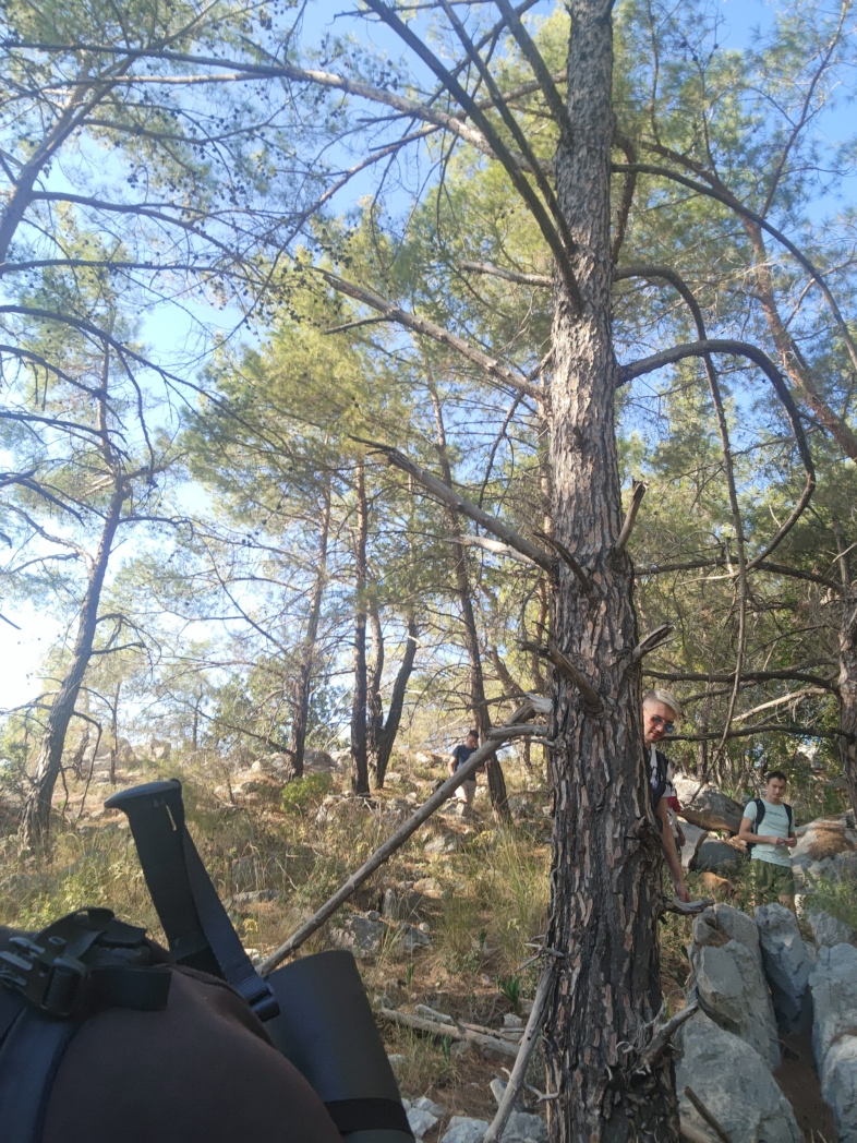 Фото из похода