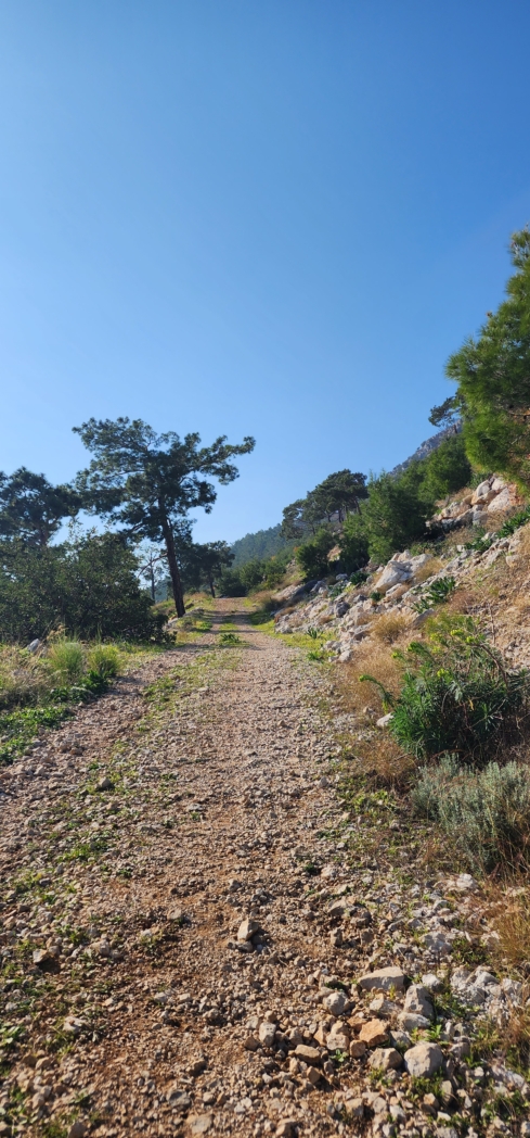 Фото из похода