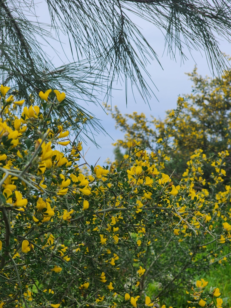 Фото из похода