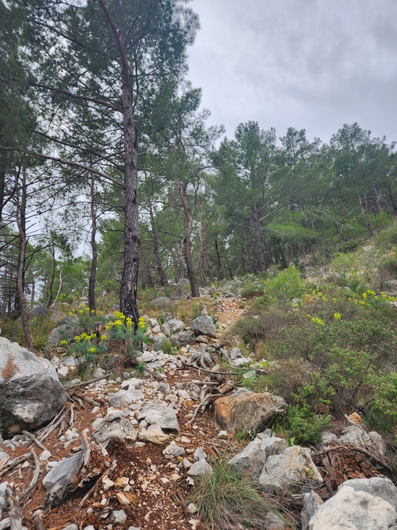 Фото из похода