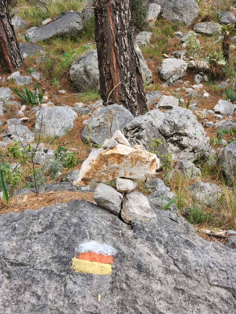 Фото из похода