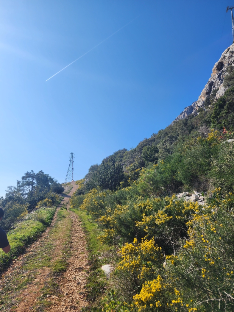 Фото из похода