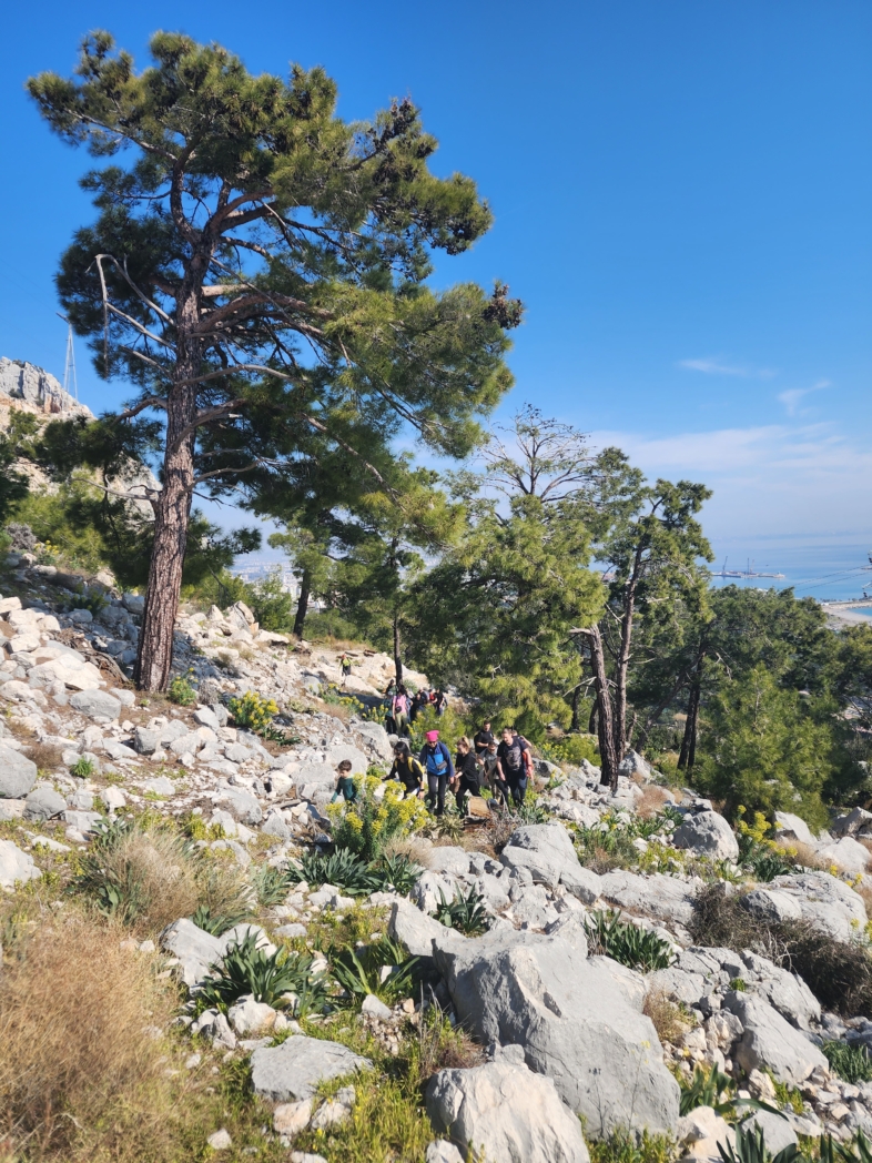 Фото из похода