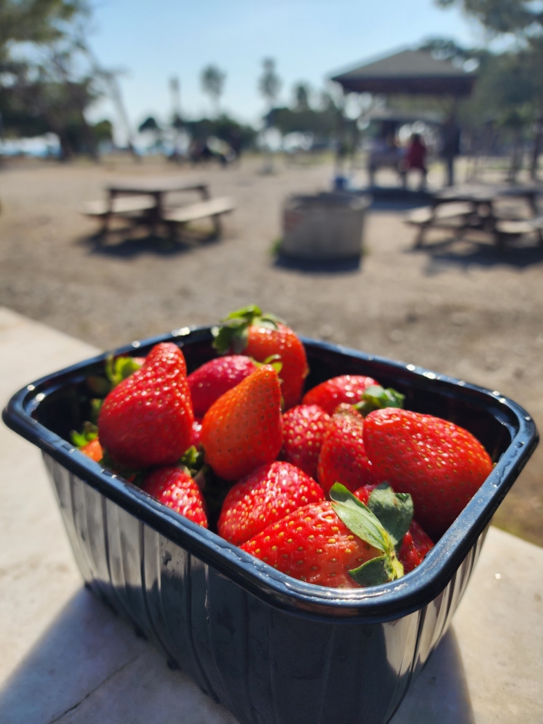 Фото из похода