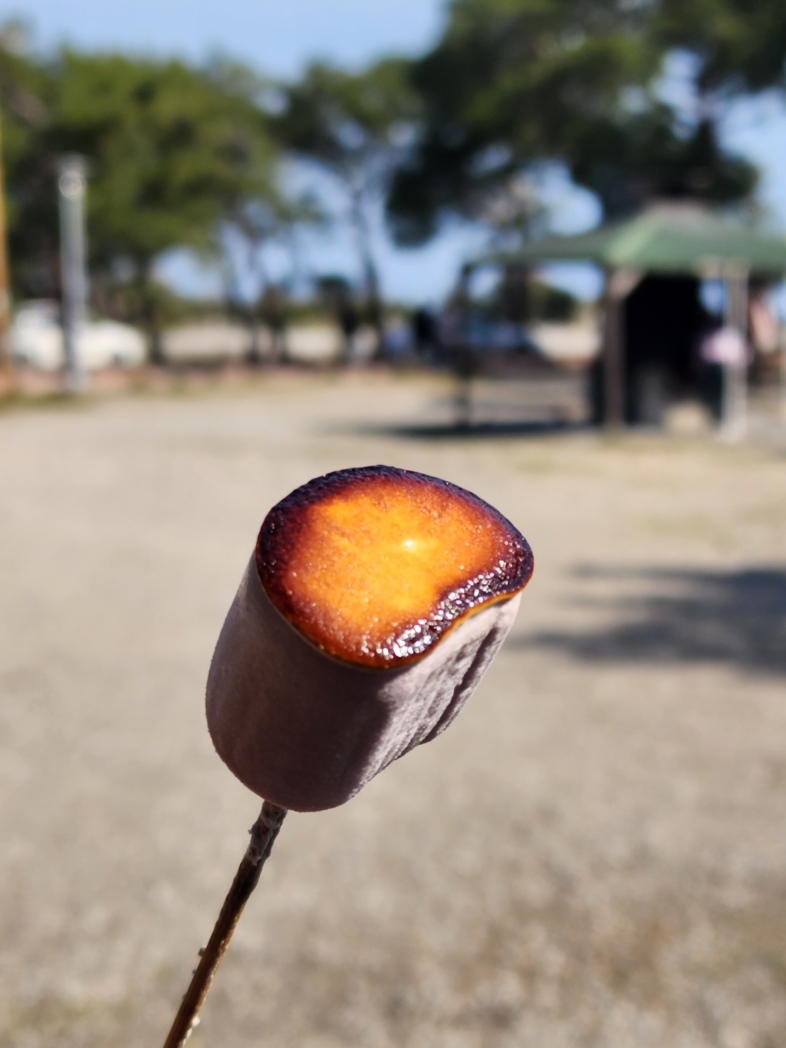 Фото из похода