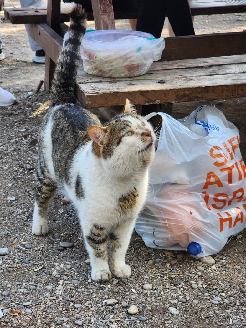 Фото из похода