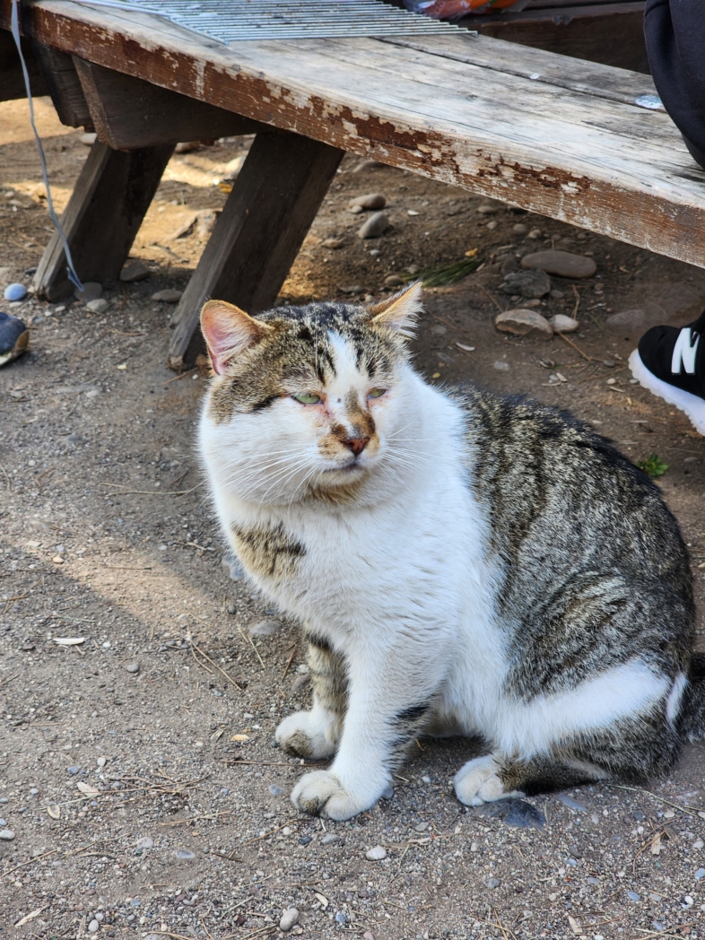 Фото из похода