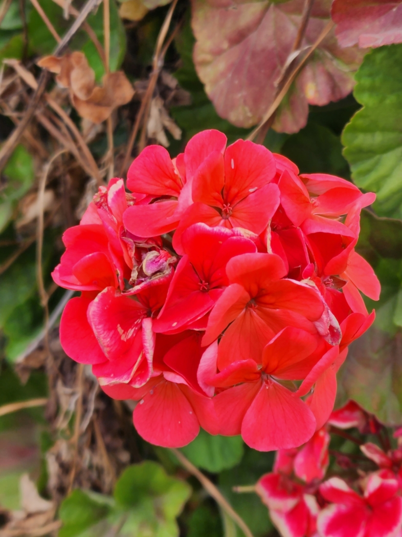 Фото из похода