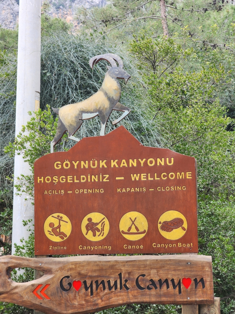 Фото из похода