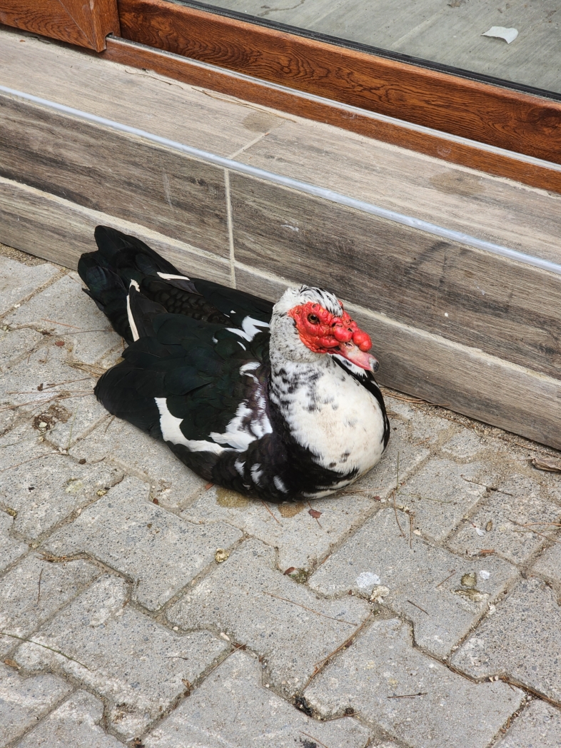 Фото из похода