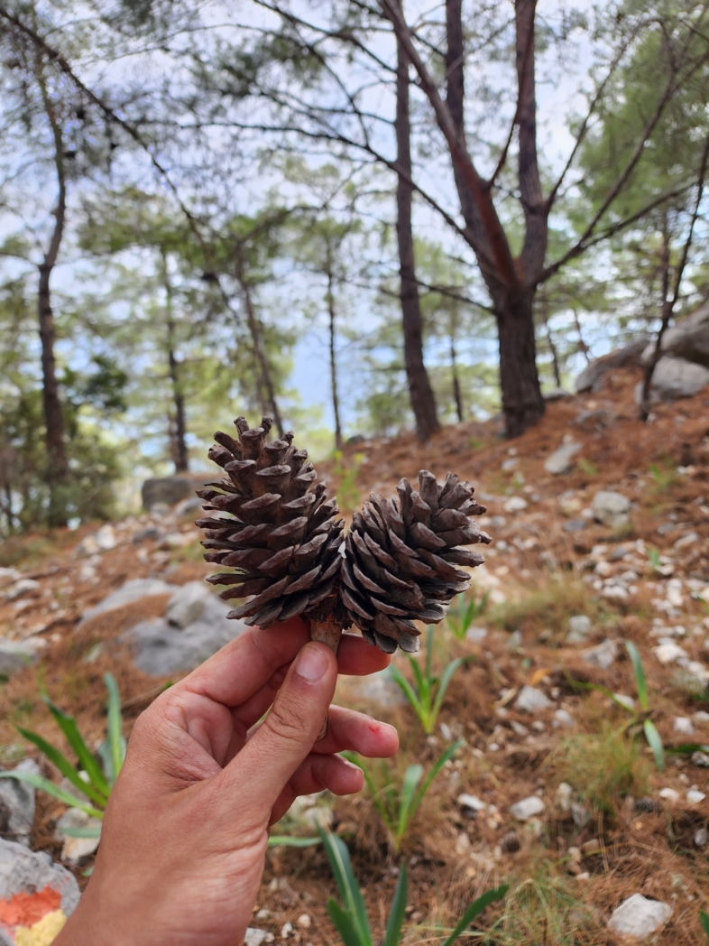 Фото из похода