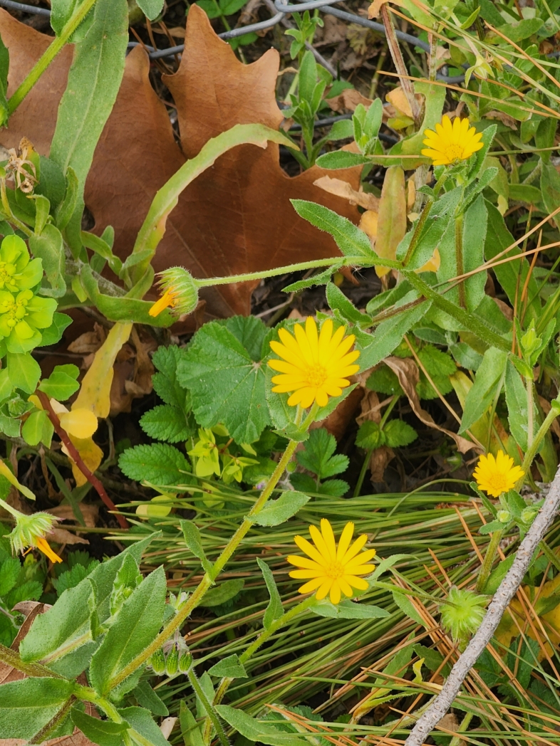 Фото из похода