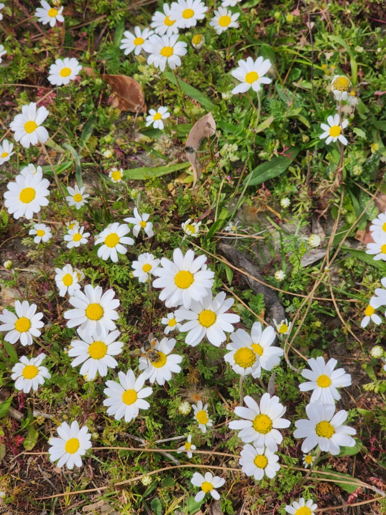 Фото из похода