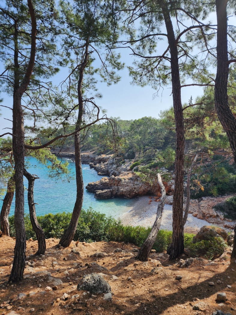 Фото из похода