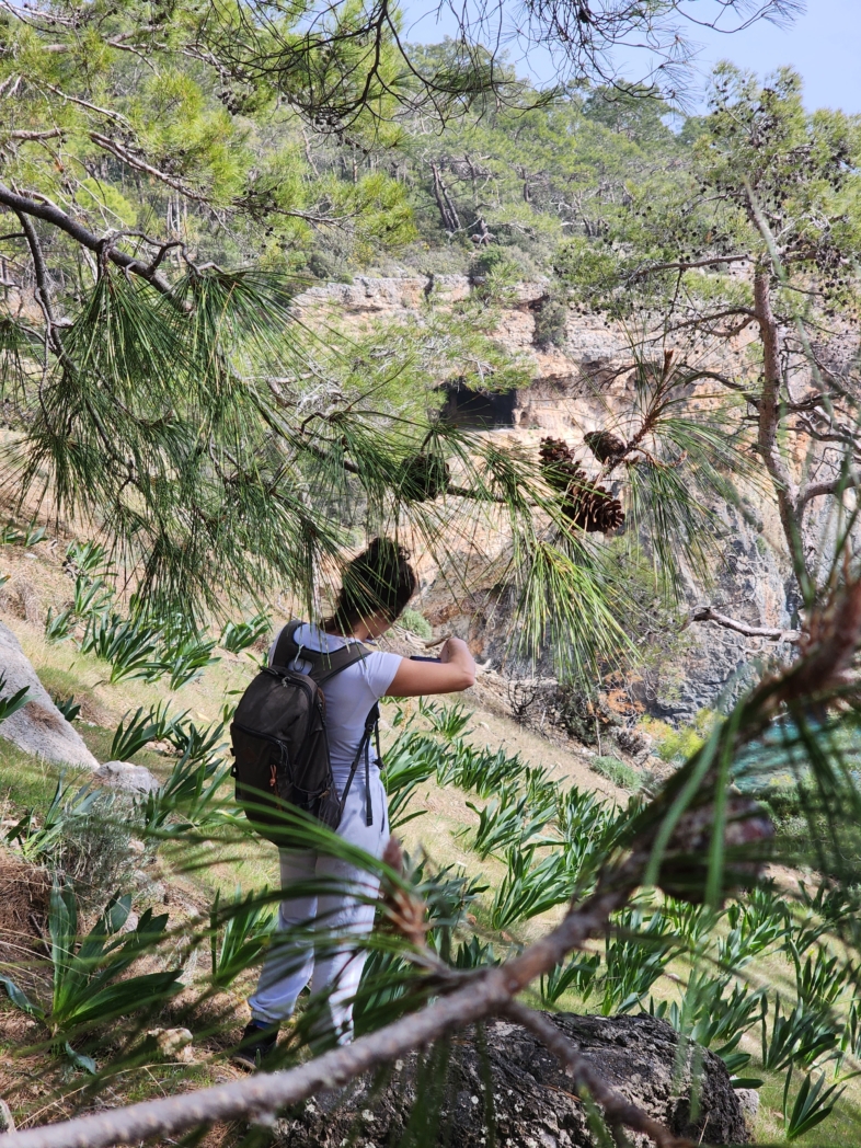 Фото из похода