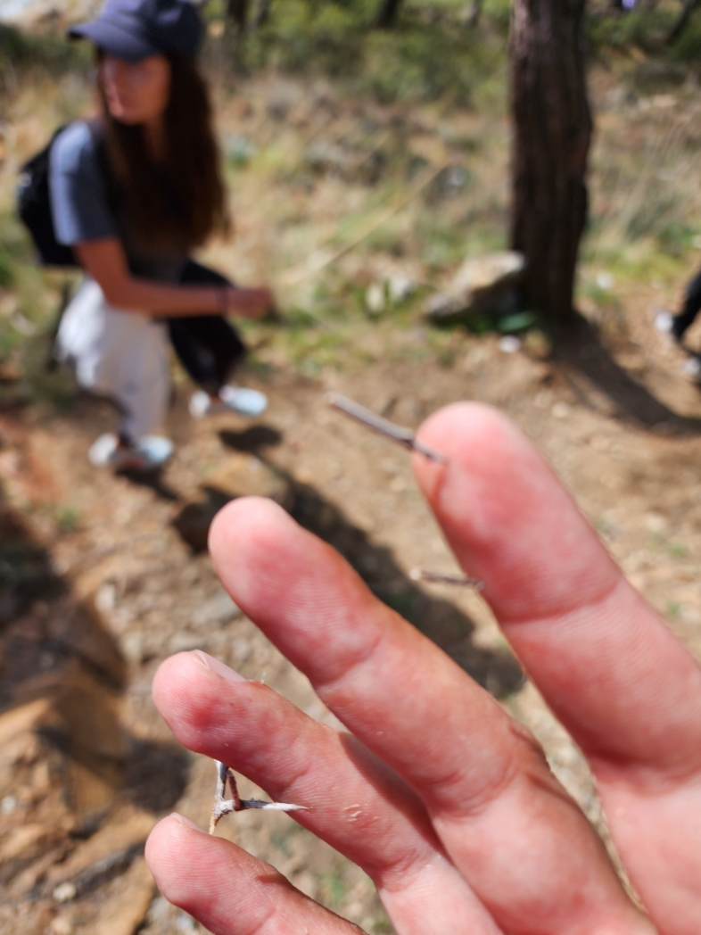 Фото из похода